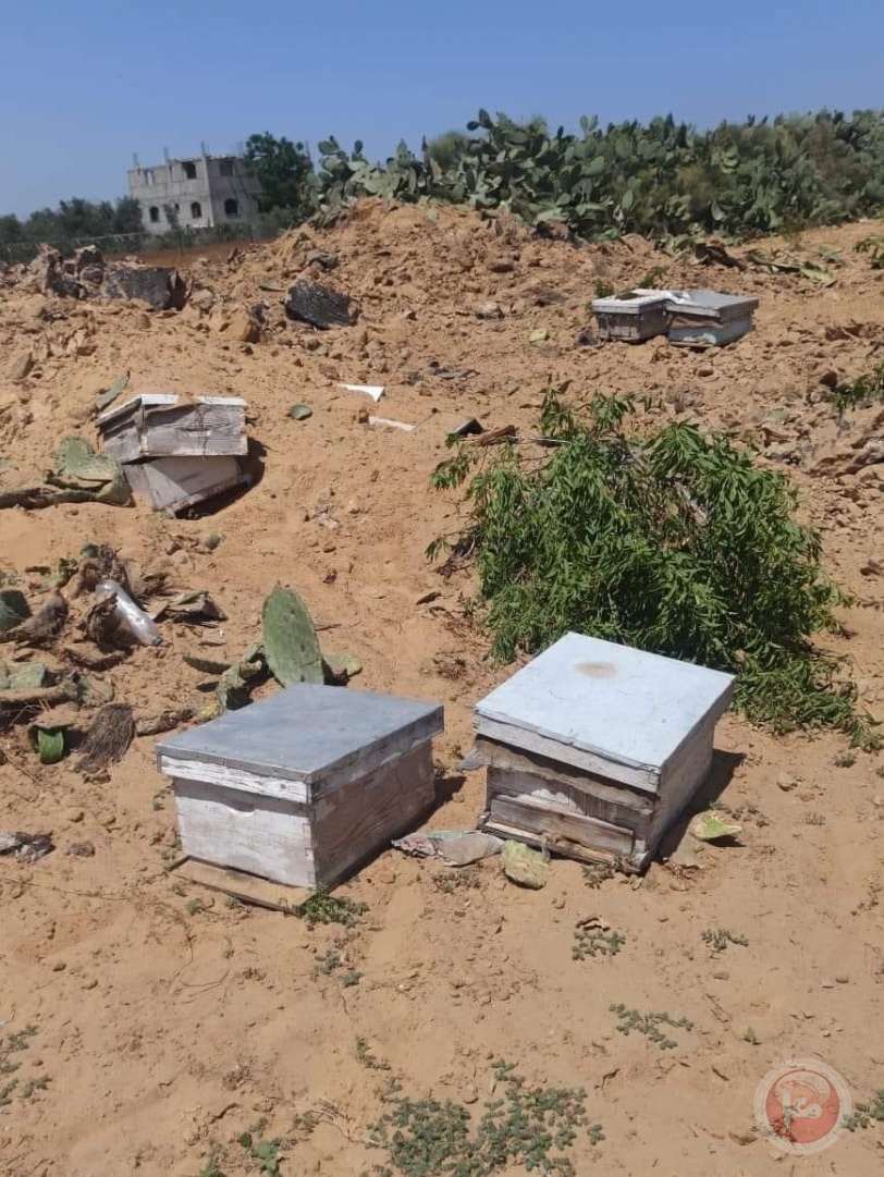 كشف خسائر القطاع الزرعي  خلال العدوان