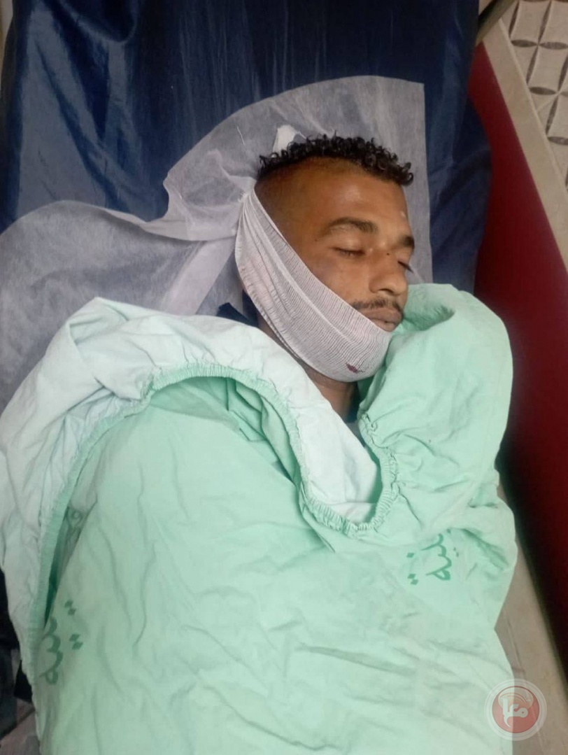 محمد زيتون 