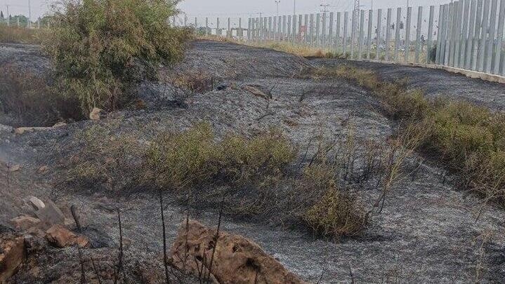 إسرائيل: 176 حريقا السبت في مختلف أنحاد "البلاد"