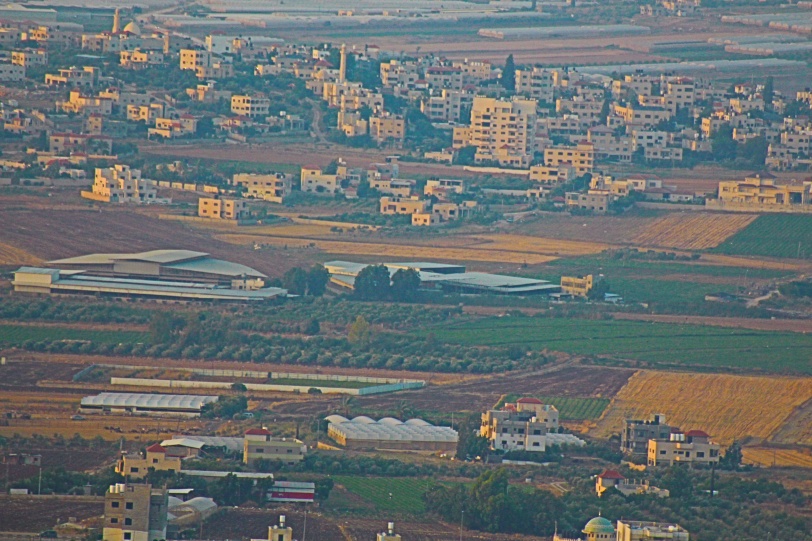 "التعليم البيئي" يدعو لحماية الأرض الزراعية من الزحف العمراني