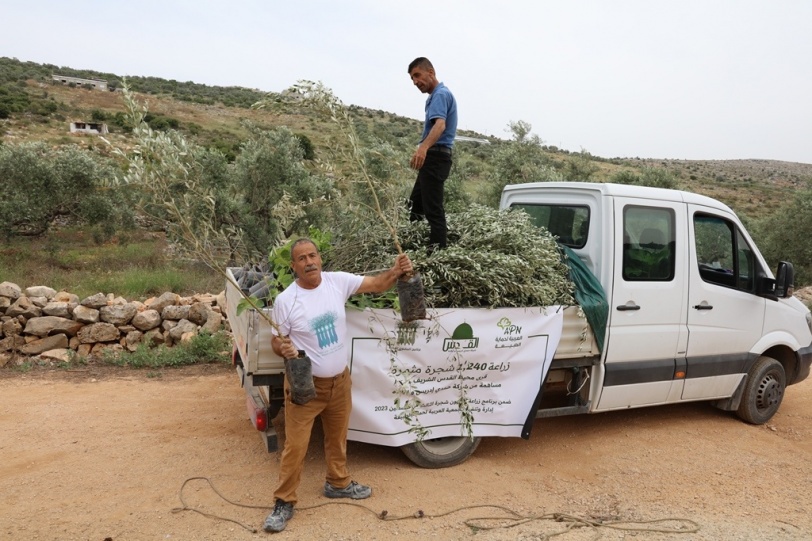  العربية لحماية الطبيعة تعيد زراعة 285 شجرة اقتلعها الاحتلال في كفر الديك