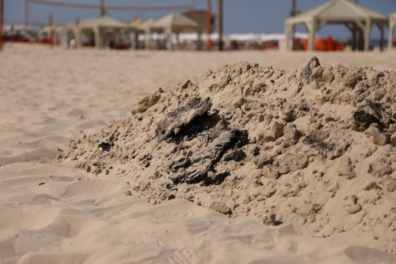 إحراق تمثال بن غوريون على شاطئ تل أبيب (صور)