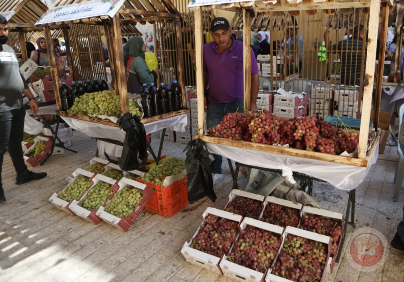  افتتاح مهرجان أيام العنب الخليلي في البلدة القديمة من مدينة الخليل