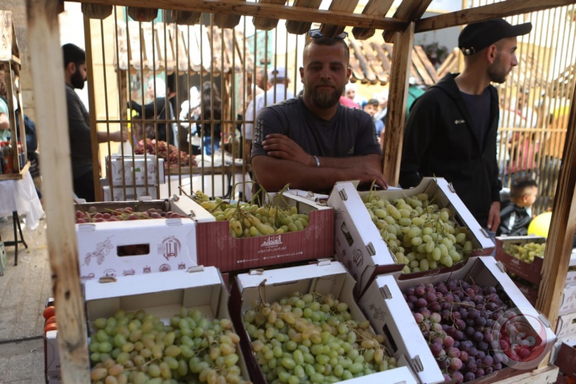  افتتاح مهرجان أيام العنب الخليلي في البلدة القديمة من مدينة الخليل