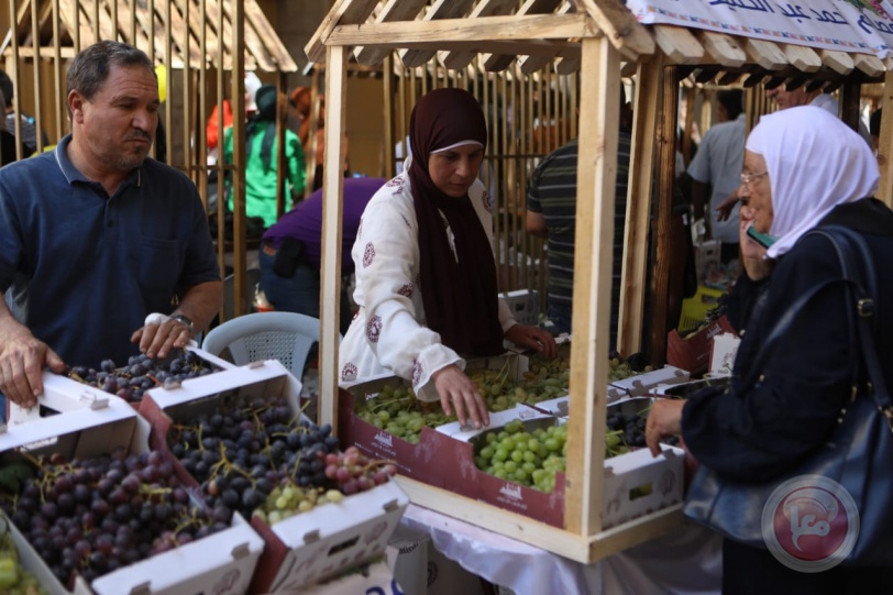  افتتاح مهرجان أيام العنب الخليلي في البلدة القديمة من مدينة الخليل