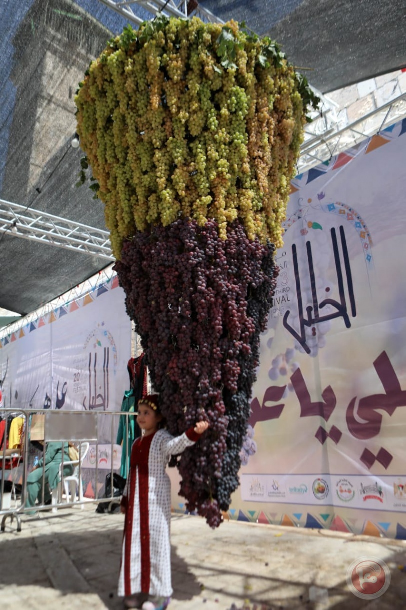  افتتاح مهرجان أيام العنب الخليلي في البلدة القديمة من مدينة الخليل
