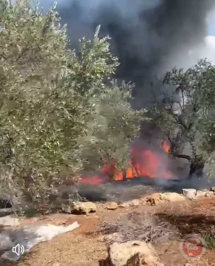 صور ..المستوطنون يشعلون النار ويهاجمون المنازل جنوب نابلس
