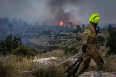 بالصور..هكذا تبدو الاضرار التي لحقت بعشرات الآف الدونمات 