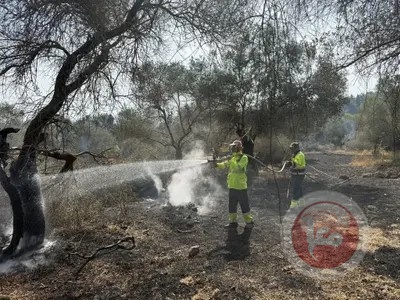 بالصور..هكذا تبدو الاضرار التي لحقت بعشرات الآف الدونمات 