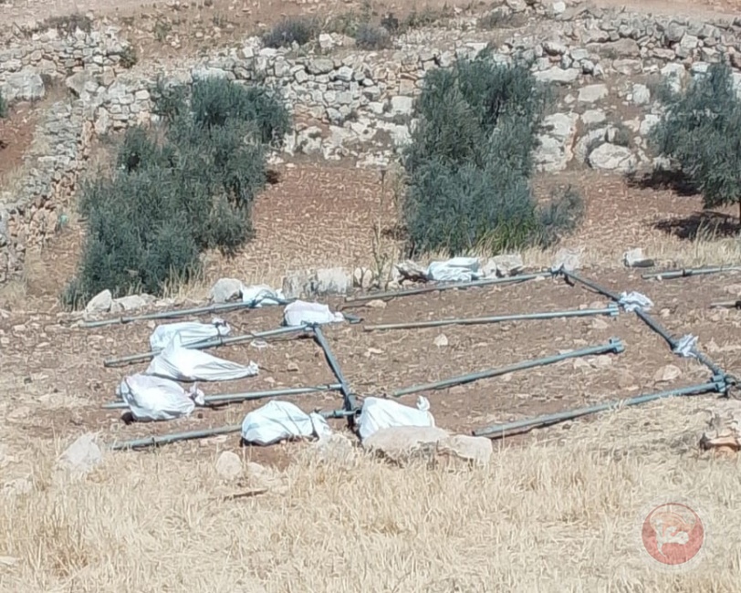 عصابات المستوطنين تضع سياجا حول مساحات واسعة من أراضي المواطنين في مسافر يطا