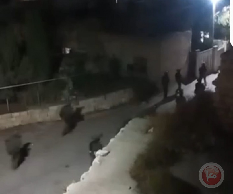 الاحتلال يعتقل 20 مواطنا ويداهم عددا من المنازل قي ديراستيا