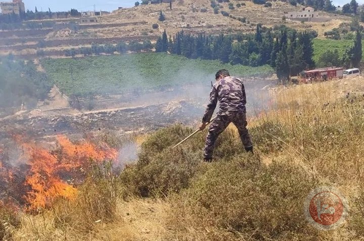 الدفاع المدني يخمد حريقا بمحاصيل زراعية وأشجار في يطا