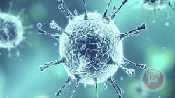 الصحة العالمية تنشر نصائح حول الوقاية من فيروس كورونا