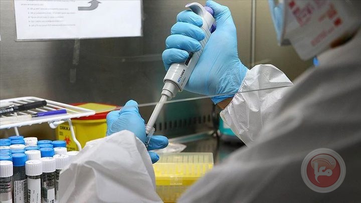 مصر- تسجيل 41 وفاة و667 إصابة بفيروس كورونا 