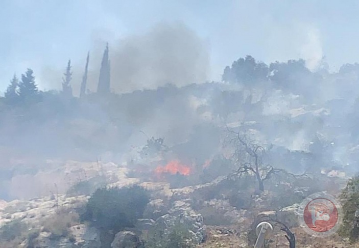 مستوطنون يضرمون النار بأراض جنوب نابلس