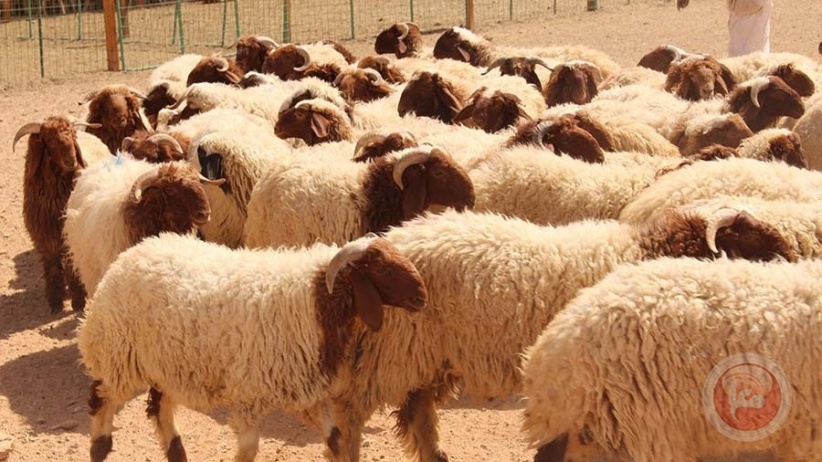 صورة تعبيرية