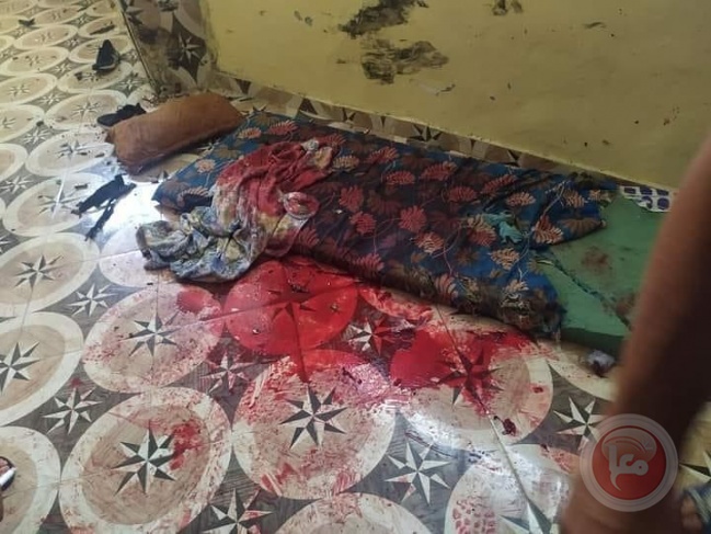 فيديو- اصابة شقيقين برصاص الاحتلال واعتقالهما في مخيم جنين