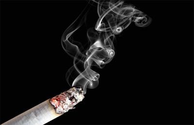 المؤتمر العالمي للحد من ضرر التبغ في بلغاريا يناقش الأدلة التي تثبت فعالية البدائل الخالية من الدخان