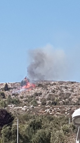 إصابات وإحراق أشجار الزيتون خلال هجوم المستوطنين على المزارعين جنوب نابلس