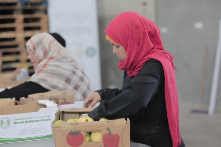 ‎الإغاثة الزراعية تسهل وصول المزارعين إلى الأسواق وتدعم تسويق محصول الجوافة