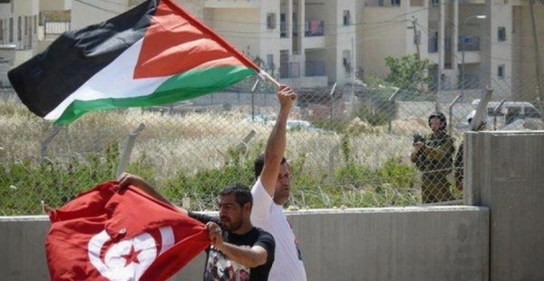 تونس تجدد دعمها الثابت للقضية الفلسطينية