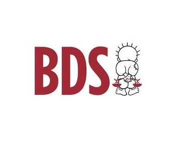 BDS: سنقاوم محاولات إدارة ترمب ترهيب المدافعين عن حقوق الإنسان لفرض &quot;الأبارتهايد&quot;