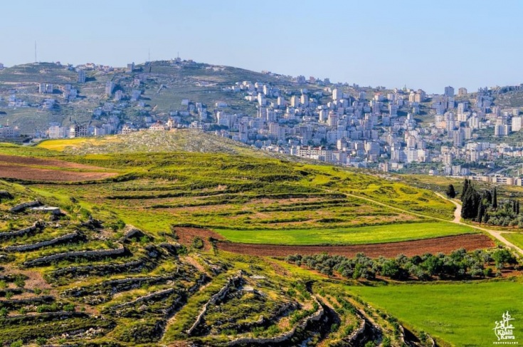 استقرار اليوم وغدا وأمطار محلية السبت
