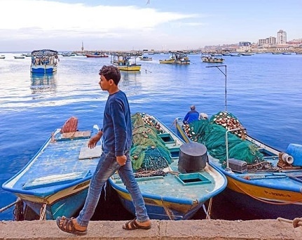 قرار بإعادة فتح ميناء غزة امام المواطنين مجدداً