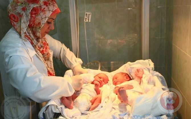 غزة تشهد 3483 مولودا  و226 حالة وفاة خلال نوفمبر