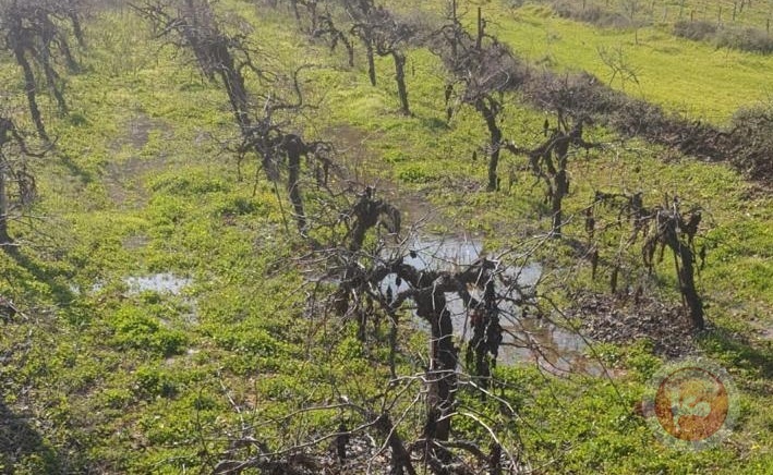 مستوطنون يضخون المياه العادمة إلى أراضي حوسان غرب بيت لحم