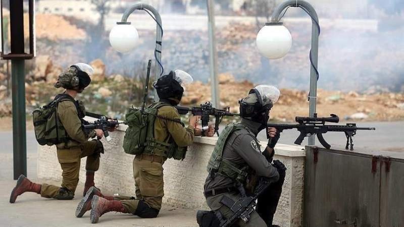 &quot;الإفتاء&quot; يستهجن الصمت العالمي تجاه العدوان الإسرائيلي المتصاعد في فلسطين
