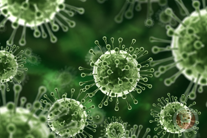 فيروس نيباه.. ماذا يعرف العلم عن الوباء المرعب؟