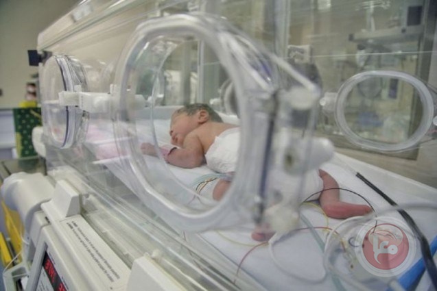 غزة تُسجل 4012 مولودًا جديدا و283 وفاة خلال تموز