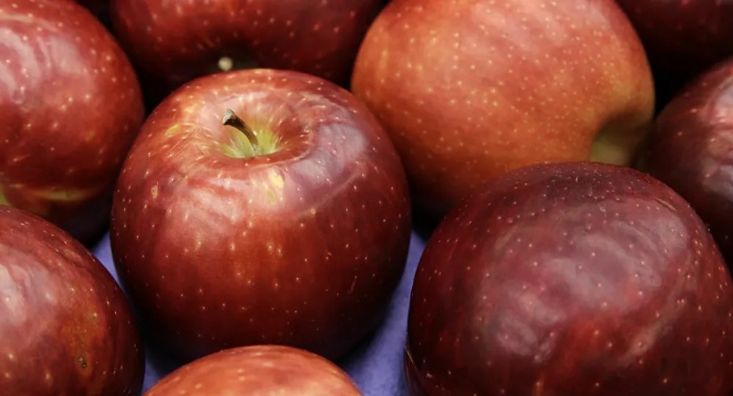 دراسة حديثة تكشف تأثيرات لن تتوقعها للتفاح على الدماغ