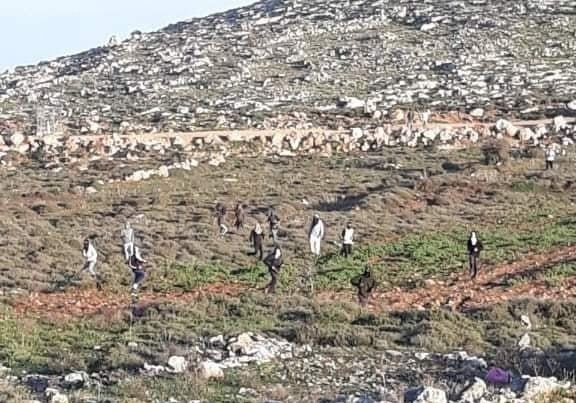 مستوطنون يعتدون على المواطنين غرب وشمال نابلس 