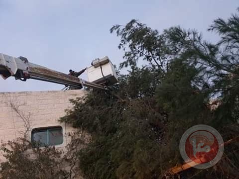 يطا: طواقم البلدية وشركة الكهرباء يعالجون حادثة سقوط شجرة كبيرة على أحد المنازل
