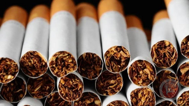 التغليف الموحد لمنتجات التبغ الواردة إلى الأراضي الفلسطينية : لماذا يمكننا الرفض؟