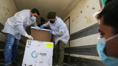 منها 20 ألف لغزة..السلطة تتسلم 64 الف لقاح تبرع من الصحة العالمية وشركة فايزر 