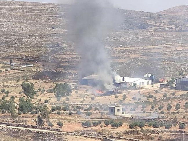 2 خطيرة.. 6 إصابات في هجوم للمستوطنين على قصرة