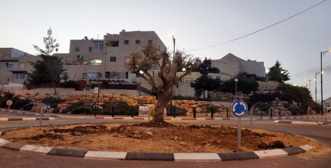 مصادر عبرية: اطلاق نار على مستوطنة &quot;كريات اربع&quot;