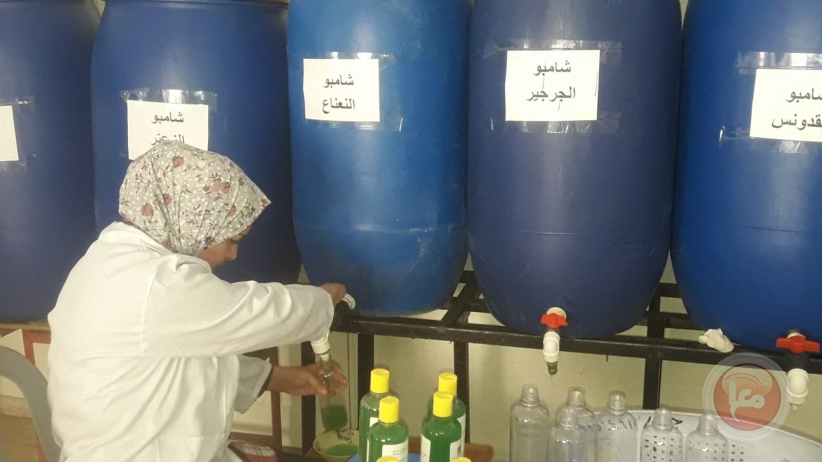 نساء فلسطينيات يتحدين البطالة باستخراج الزيوت