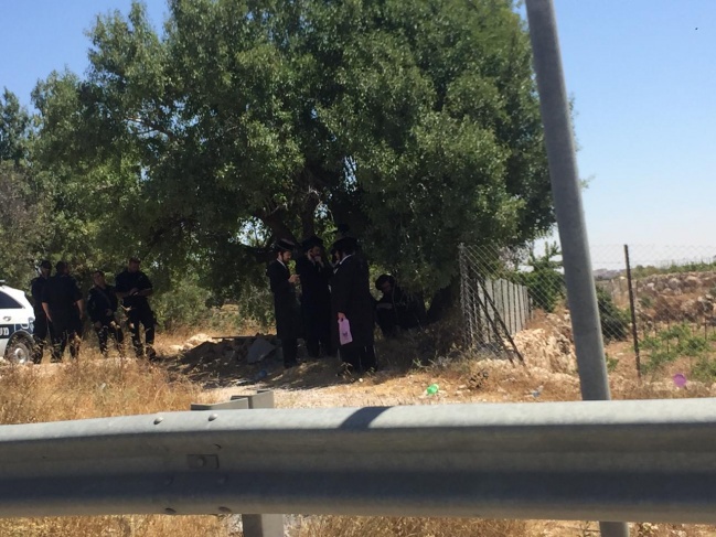 عشرات المستوطنين ينتشرون على الشارع الاستيطاني 60 جنوب بيت لحم