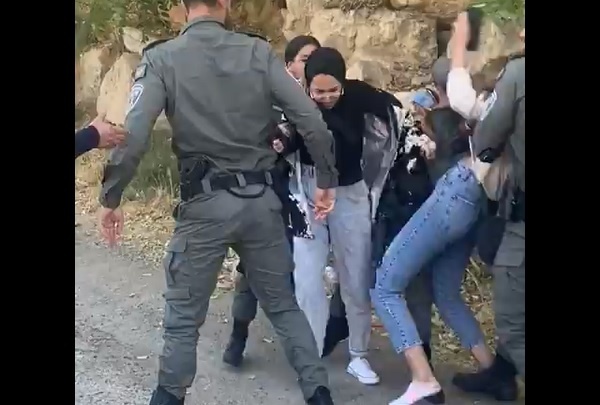 اعتقال فتاتين بعد الاعتداء عليهما بالشيخ جراح (فيديو)