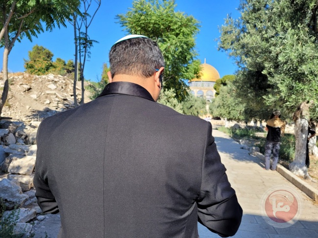 &quot;الخارجية الأردنية&quot; تدين اقتحام عضو الكنيست بن غفير للمسجد الأقصى المبارك