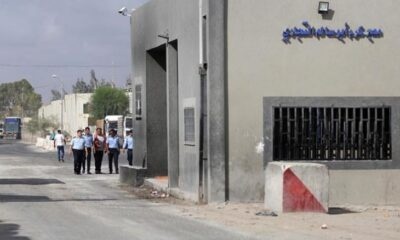 بعد منع 52 يومًا.. الاحتلال يسمح بتسويق البندورة من غزة 