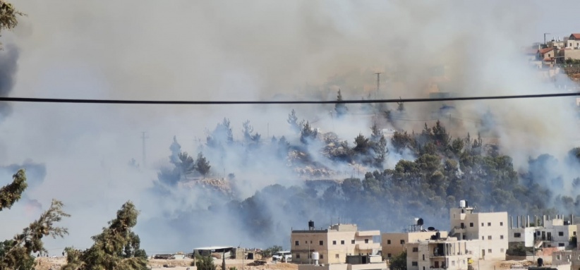 إخلاء بيوت.. حريق ضخم في أحراش &quot;الزير&quot; قرب مستوطنة تقوع (صور)