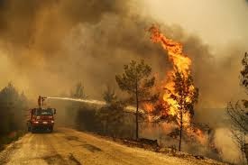 تركيا تواصل مكافحة حرائق الغابات لليوم الـ 6 على التوالي… فيديو
