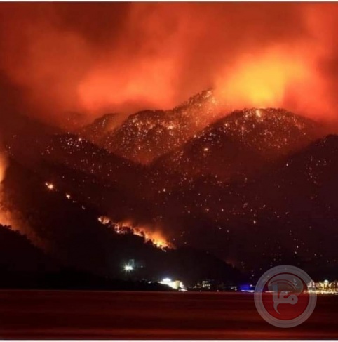 مقتل 25 فردا من الجيش الجزائري أثناء مواجهة حرائق الغابات