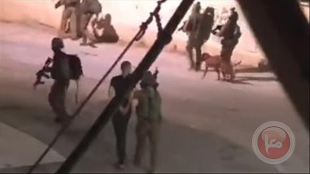 اربعة شهداء برصاص قوات الاحتلال في مخيم جنين