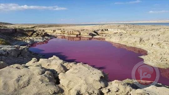 خبير أردني يفسر ظاهرة المياه الحمراء في منطقة البحر الميت 